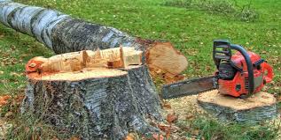 Best Hazardous Tree Removal  in Huber Ridge, OH