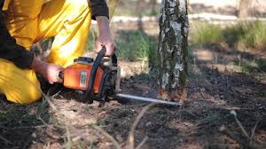 Best Lawn Irrigation Installation and Maintenance  in Huber Ridge, OH